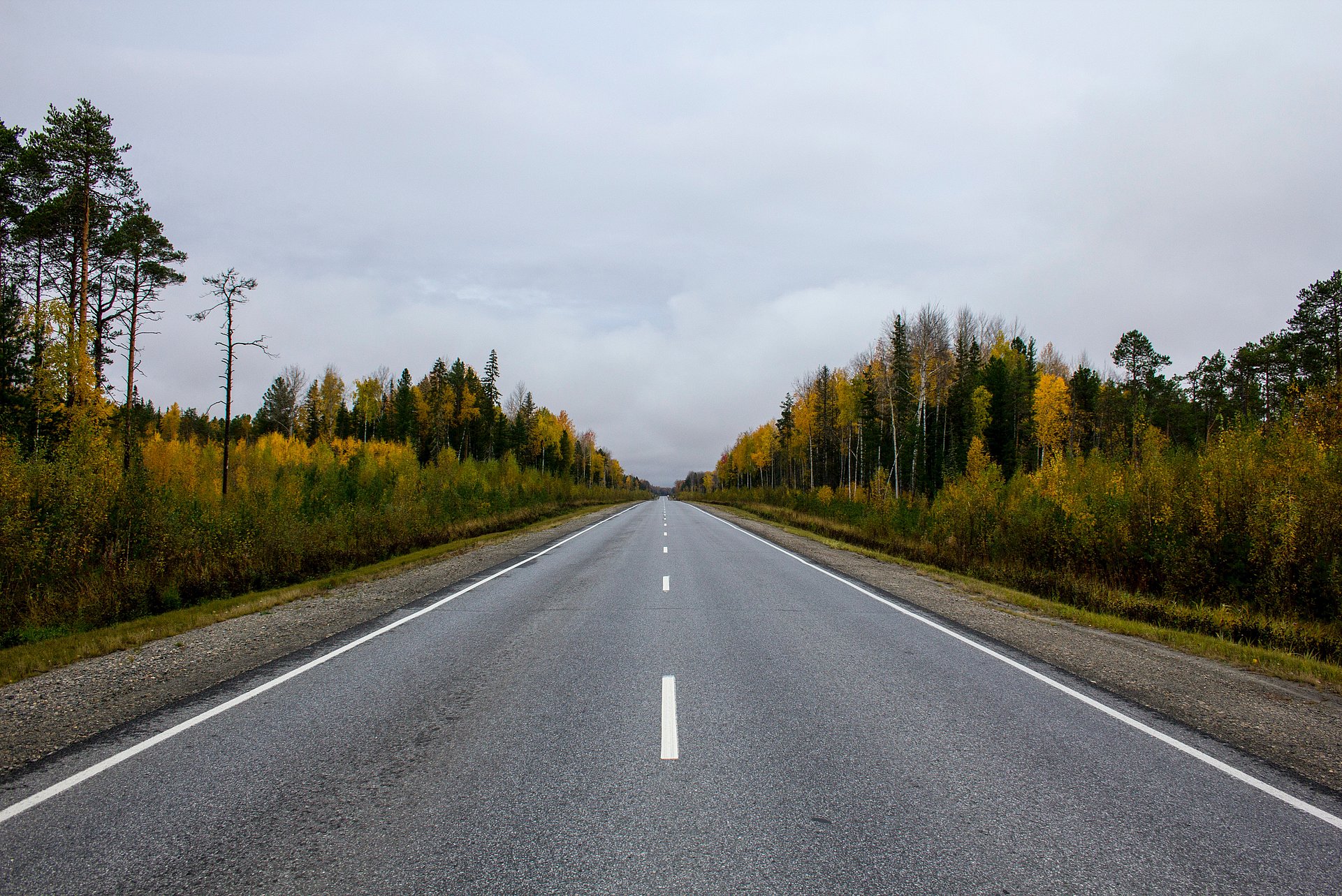 straight road through countryside on a cloudy day straight road through countryside on a cloudy day