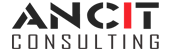 ANCIT CONSULTING Logo